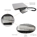 SF-888 Edelstahl Commercial Digital Postal Scale 100 kg